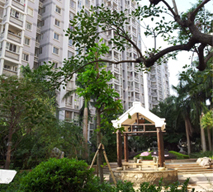 桓迪衛浴--陽光海岸花園成功案例